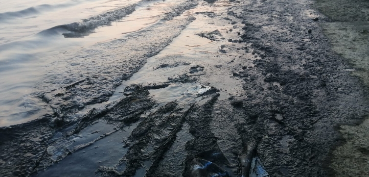 izmir, Boyoz, İzmir Ekonomi Üniversitesi, İzmir Köfte, Elvan Özkavruk Adanır