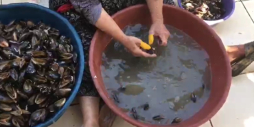 izmir, Balçova, Balçova trafik kazası