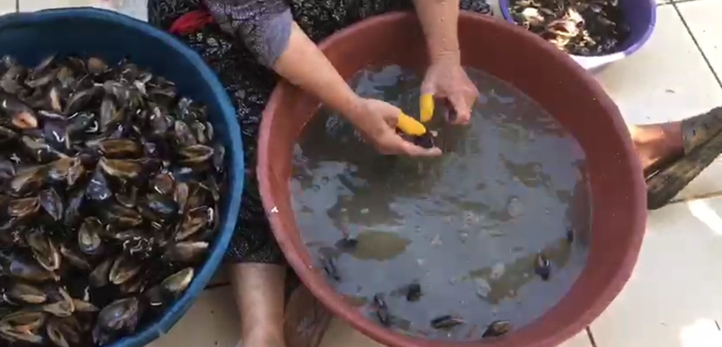 izmir, Balçova, Balçova trafik kazası