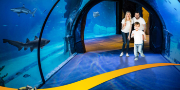 izmir, Balçova, Beydağ, İzmir su kesintisi, Balçova su kesintisi, Beydağ su kesintisi