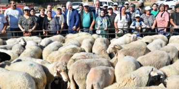 izmir, Torbalı, Hanife Gürdal