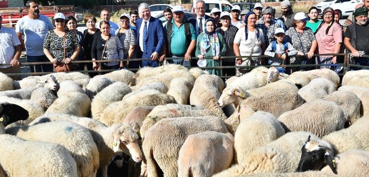 izmir, Torbalı, Hanife Gürdal