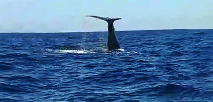 izmir, İzmir su kesintisi