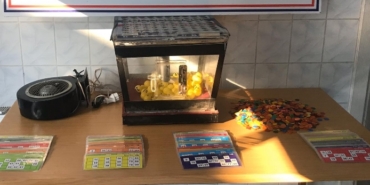 Milliyetçi Hareket Partisi, Devlet Bahçeli, Adalet ve Kalkınma Partisi, MHP, Cumhur İttifakı