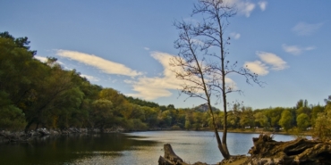 Karşıyaka, izmir, İzmir Büyükşehir Belediyespor