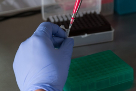 izmir, Seferihisar, Sığacık