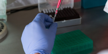 izmir, Seferihisar, Sığacık