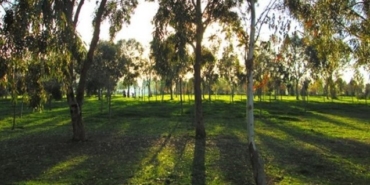 izmir, Balçova, İnciraltı, Üçkuyular