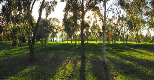 izmir, Balçova, İnciraltı, Üçkuyular