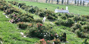 izmir, Erol Ayyıldız