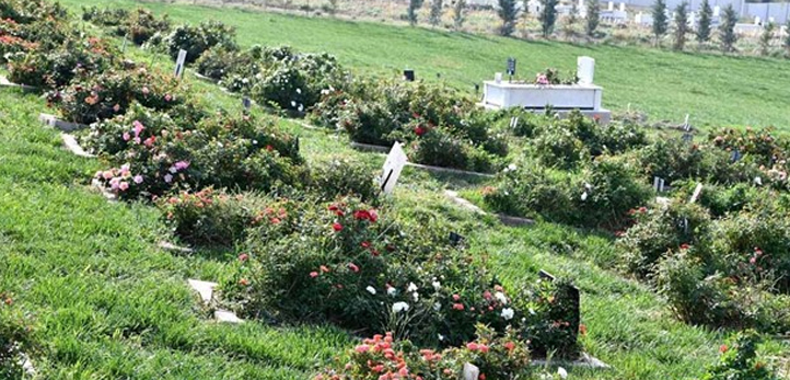 izmir, Erol Ayyıldız