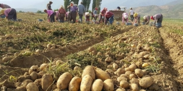 izmir, Barış Pınarı Harekatı, İzmir Barosu, Fethi Sekin, 9 Eylül 1922