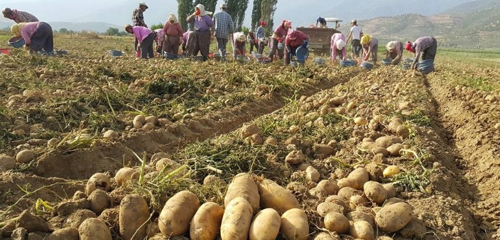 izmir, Barış Pınarı Harekatı, İzmir Barosu, Fethi Sekin, 9 Eylül 1922
