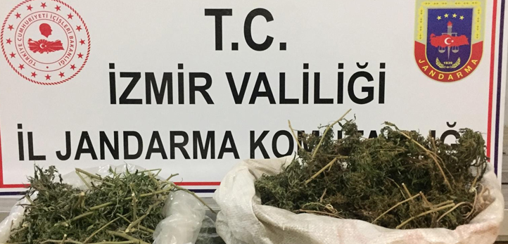 izmir, İzmir Büyükşehir Belediyesi, izmir hal fiyatları, İzmir Hali, izmir balık hali, izmir sebze ve meyve hali, izmir balık hal fiyatları