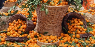 izmir, Kemal Kılıçdaroğlu, Cumhuriyet Halk Partisi, Milliyetçi Hareket Partisi, Devlet Bahçeli, Deniz Yücel, MHP