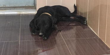 izmir, Bornova, Ooze Venue, izmir konserleri, Şanışer