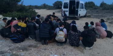 izmir, İzmir Büyükşehir Belediyesi, izmir hal fiyatları, İzmir Hali, izmir balık hali, izmir sebze ve meyve hali, izmir balık hal fiyatları