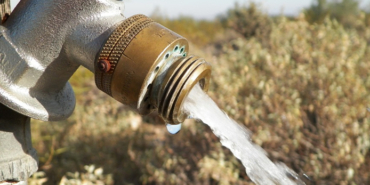 instagram, Rüzgar Mağden, Gönül Yazar