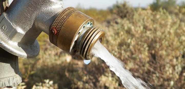 instagram, Rüzgar Mağden, Gönül Yazar