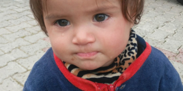 İzmir Foça'da durdurulan araçtan 44 kaçak göçmen çıktı