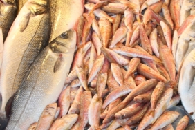 Bayraklı, Bayraklı Belediyesi, Anadolu Caddesi