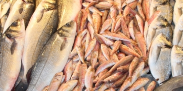 Bayraklı, Bayraklı Belediyesi, Anadolu Caddesi