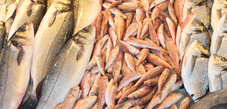Bayraklı, Bayraklı Belediyesi, Anadolu Caddesi