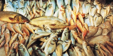 Altınordu, izmir, TFF 1. Lig, Balıkesirspor