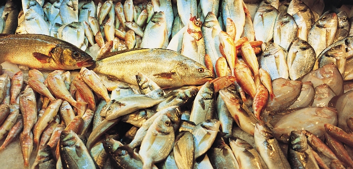 Altınordu, izmir, TFF 1. Lig, Balıkesirspor