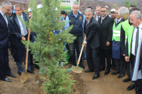 İzmir'de terör örgütünün yaktığı ormanlar yeniden hayat buluyor