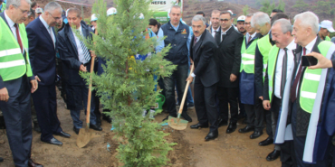 İzmir'de terör örgütünün yaktığı ormanlar yeniden hayat buluyor