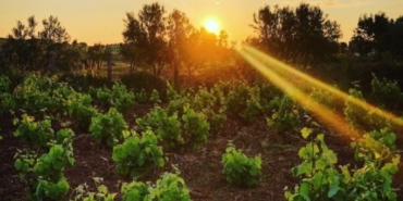 Urla, Star TV, Emre Kınay, Elifcan Ongurlar, Ece Uslu, Özge Özacar