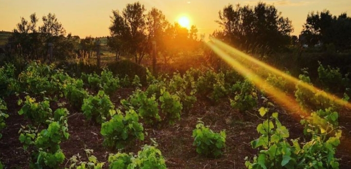 Urla, Star TV, Emre Kınay, Elifcan Ongurlar, Ece Uslu, Özge Özacar