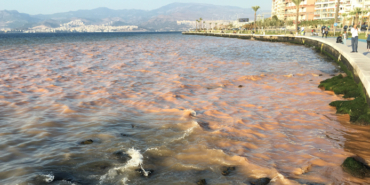 izmir, Çeşme, Dalyan Mahallesi, Sakarya Mahallesi