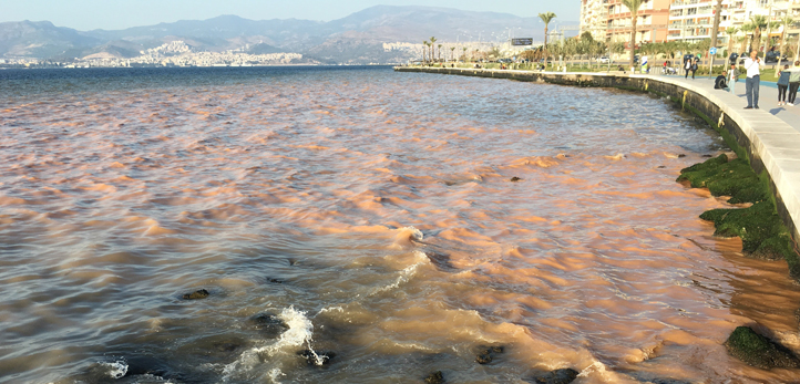 izmir, Çeşme, Dalyan Mahallesi, Sakarya Mahallesi