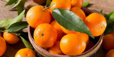 izmir, Selçuk, Barış Arduç, Kanal D