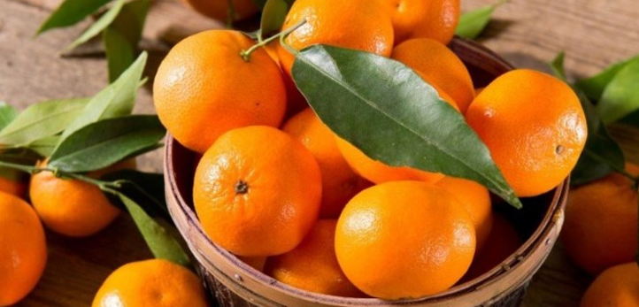 izmir, Selçuk, Barış Arduç, Kanal D