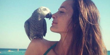 izmir, izmir elektrik kesintisi