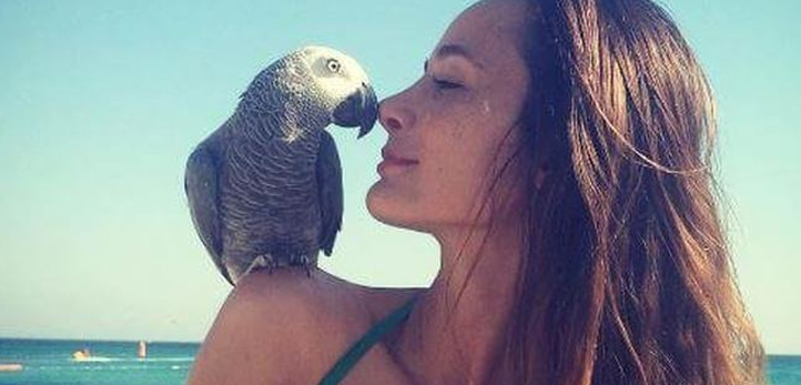 izmir, izmir elektrik kesintisi