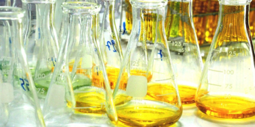 Star TV, Dilan Telkök