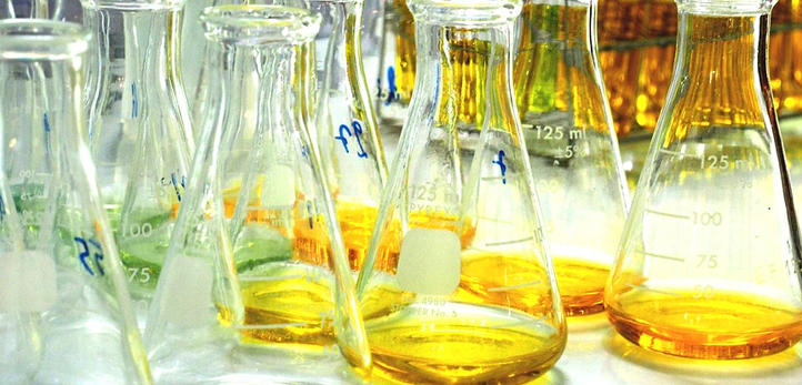 Star TV, Dilan Telkök