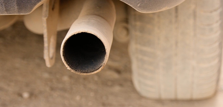 izmir, İzmir Hali, izmir balık hali, izmir balık hal fiyatları