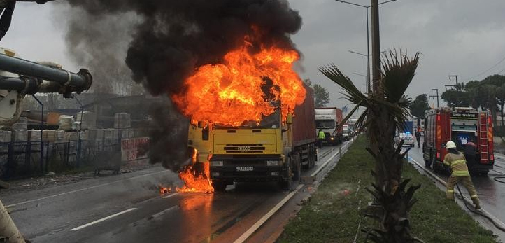 Karşıyaka, izmir, Bayraklı, Bornova, Buca, Çiğli, Dikili, Menemen, Ödemiş