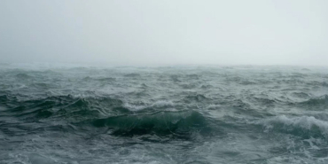 Survivor, Masterchef, Suna Aydın, Yasin Obuz, Masterchef Türkiye