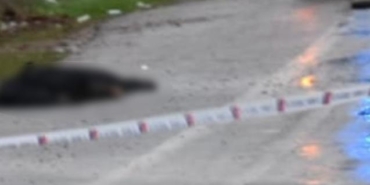 İzmir'de yol kenarında bulunan cesedin sırrı çözüldü