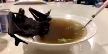 Korona virüsüne sebep olan yarasa çorbası nedir?