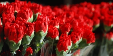 izmir, Bornova, İzmir su kesintisi, İZSU, Bornova su kesintisi, Yeşilçam Mahallesi, Egemenlik Mahallesi, Gürpınar Mahallesi, Işıklar Mahallesi, Kemalpaşa Mahallesi, Ümit Mahallesi