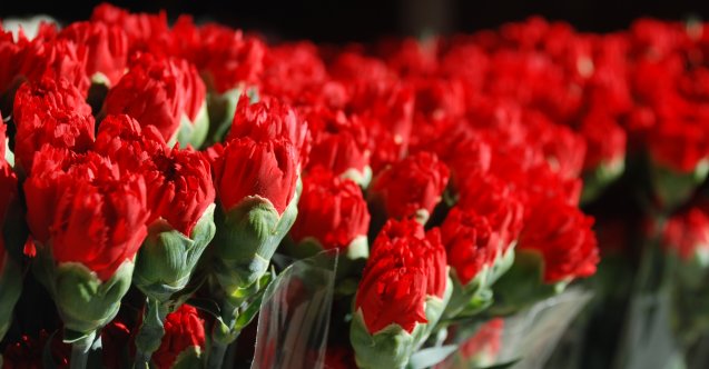 izmir, Bornova, İzmir su kesintisi, İZSU, Bornova su kesintisi, Yeşilçam Mahallesi, Egemenlik Mahallesi, Gürpınar Mahallesi, Işıklar Mahallesi, Kemalpaşa Mahallesi, Ümit Mahallesi