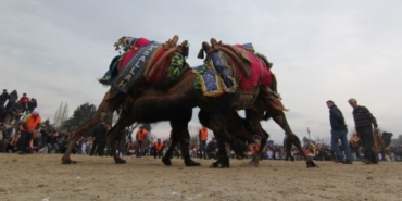 Survivor, Fatma Günaydın