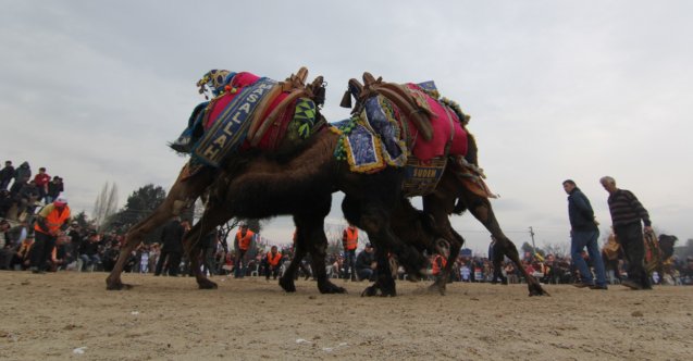 Survivor, Fatma Günaydın